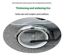 Load image into Gallery viewer, Vintage Retro Alloy Side Tricycle