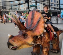 Load image into Gallery viewer, Kids Ride Electric Dinosaur DRN-14 Amusement parks or events