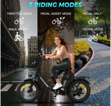 Load image into Gallery viewer, Windhorse W4B Electric Bicycle 48V 15.6Ah 750W