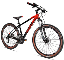 Load image into Gallery viewer, Gamma Adults Road Bicycle 26inch Conquer The Road Full Shimano Light Weight
