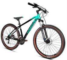 Load image into Gallery viewer, Gamma Adults Road Bicycle 26inch Conquer The Road Full Shimano Light Weight
