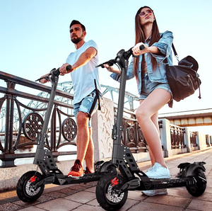 D20 Electric Scooter 48V 15Ah 500W foldable - E-Scooter UAE Hub