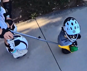 INMOTION E20 Electric Unicycle - E-Scooter UAE Hub