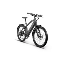 Load image into Gallery viewer, Stromer St1 With Omni Electric Bike
