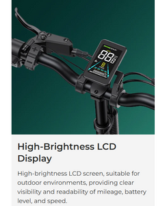 ENGWE ENGINE PRO 2.0 Electric Bike