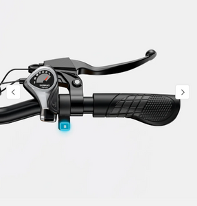 ENGWE EP-2 PRO Electric Bike 120km Range Shimano 7Gear