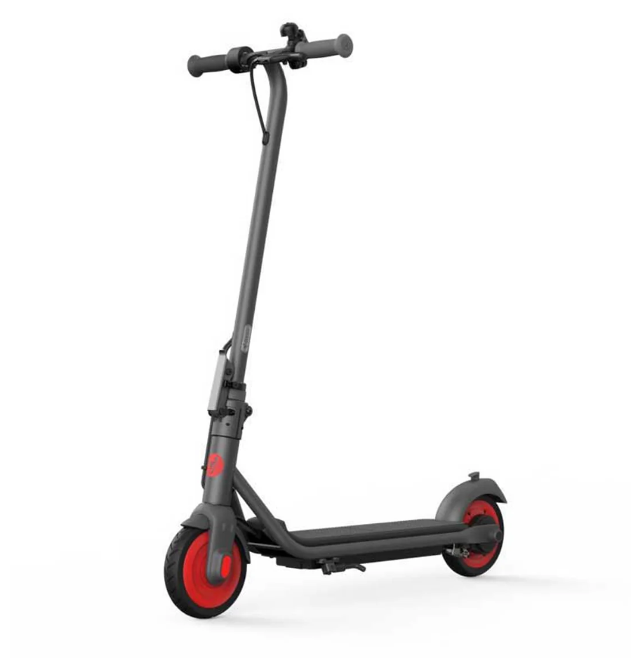 Ninebot Segway Zing C20 Electric Scooter - E-Scooter UAE Hub