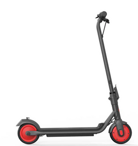 Ninebot Segway Zing C20 Electric Scooter - E-Scooter UAE Hub