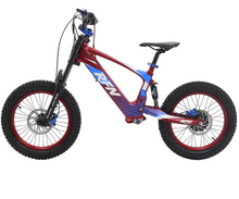 Load image into Gallery viewer, RFN EVO Racing – Electric Motorcycle for Kids Age 7-16
