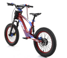 Load image into Gallery viewer, RFN EVO Racing – Electric Motorcycle for Kids Age 7-16
