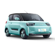 Load image into Gallery viewer, Baw Pony High Specs Mini Electric Car 03 door  04 Seater -Heartbeat Edition
