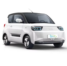 Load image into Gallery viewer, Baw Pony High Specs Mini Electric Car 03 door  04 Seater -Heartbeat Edition
