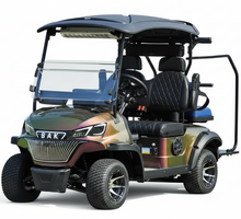 Load image into Gallery viewer, Premium Electric 2 Seater Luxury Golf Cart With Cooler for Golf Course
