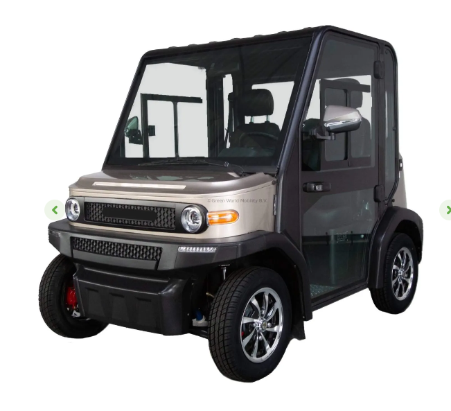 Electric Ac Golf Cart Buggy -2,4 seater