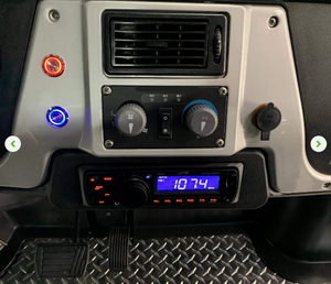 Electric Ac Golf Cart Buggy -2,4 seater