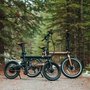 eXXite XXS Electric Bicycle 250W 36V - E-Scooter UAE Hub