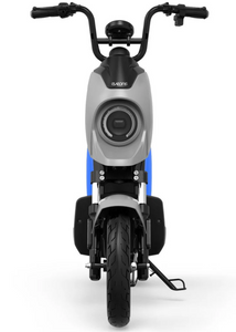 Eveons iFleet II e bike