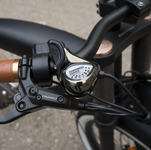Rayvolt ClubMan Luxury Vintage into MODERN Electric Bicycle - E-Scooter UAE Hub