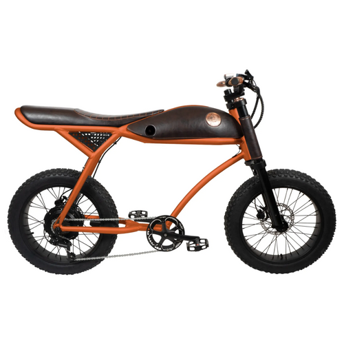 Rayvolt Ringo Electric Bicycle Luxurios Ride Vintage to Modern - E-Scooter UAE Hub