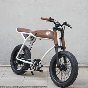 Rayvolt Ringo Electric Bicycle Luxurios Ride Vintage to Modern - E-Scooter UAE Hub