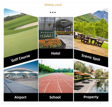 Load image into Gallery viewer, Luxury Electric Golf Cart 01 seater
