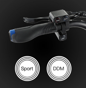 VSETT 10+ Electric Scooter 1400W Dual Motor Powered 60V 20Ah