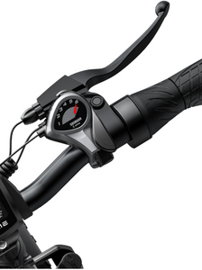 ENGWE EP-2 PRO Electric Bike 120km Range Shimano 7Gear - E-Scooter UAE Hub