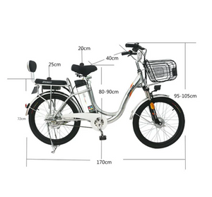 Fashionable Electric Bike with rear Seat Bike For mom & kid