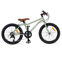 Load image into Gallery viewer, The Adam Mountain Bike 20” Handbrake Age 6+
