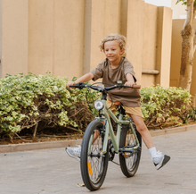 Load image into Gallery viewer, The Adam Mountain Bike 20” Handbrake Age 6+
