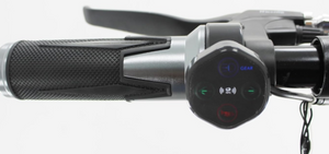 LEADERS Premium Electric Scooter 500W 48V 13Ah - E-Scooter UAE Hub