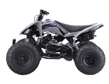 Load image into Gallery viewer, Raizer 250 Race Cup – The Perfect Starter Sport ATV Age 14+ Teens
