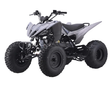 Load image into Gallery viewer, Raizer 250 Race Cup – The Perfect Starter Sport ATV Age 14+ Teens
