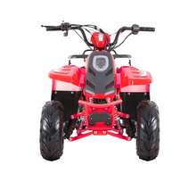 Load image into Gallery viewer, Cross 130 Starter ATV Teens Age 10+
