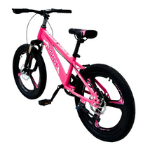 Load image into Gallery viewer, 20-Inch Kids Bike TDA-20 | Pink | Disc Brakes | Ages 7–11 Years
