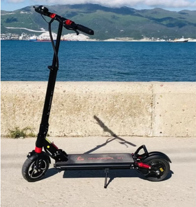 Kugoo X1 Electric Scooter 48V 13Ah 600W