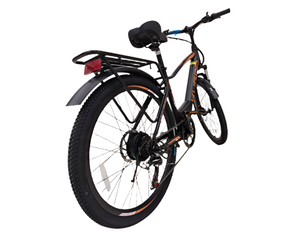 kugoo M101 Electric Bike,36V 13Ah city rider