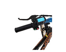 Load image into Gallery viewer, kugoo M101 Electric Bike,36V 13Ah city rider
