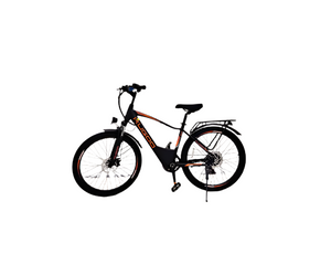 kugoo M101 Electric Bike,36V 13Ah city rider
