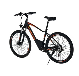 kugoo M101 Electric Bike,36V 13Ah city rider