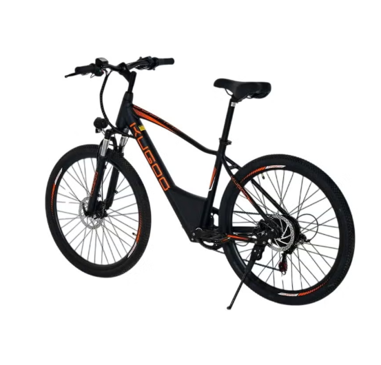 kugoo M101 Electric Bike,36V 13Ah city rider