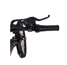 Load image into Gallery viewer, kugoo M101 Electric Bike,36V 13Ah city rider
