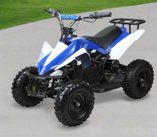 Atv Mini quad Kids Electric Ride on 36V 500W - E-Scooter UAE Hub