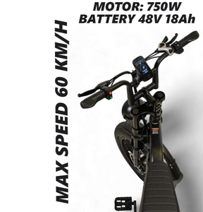 Windhorse V8 Fat Tyre E Bike 48V 18Ah 1000W 2025 NEW Model