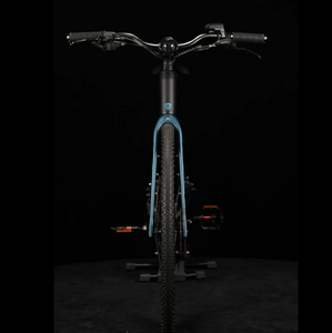 JAVA Riva Hybrid Carbon Pedelec E-bike