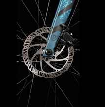 Load image into Gallery viewer, JAVA Riva Hybrid Carbon Pedelec E-bike
