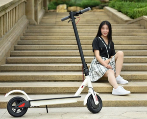 M365 E Kick Scooter 36V 6.6Ah REAR Shock