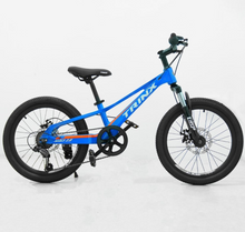 Load image into Gallery viewer, Trinx 20-Inch Seal 2.0 with Gear Kids Bike Age 5-8 Years
