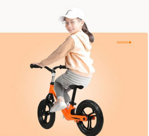 Lanq Alloy Kids Balance Bike -AGE 2-5 Years Unisex