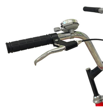 Load image into Gallery viewer, Tricycle with rear passenger carrier 20"
